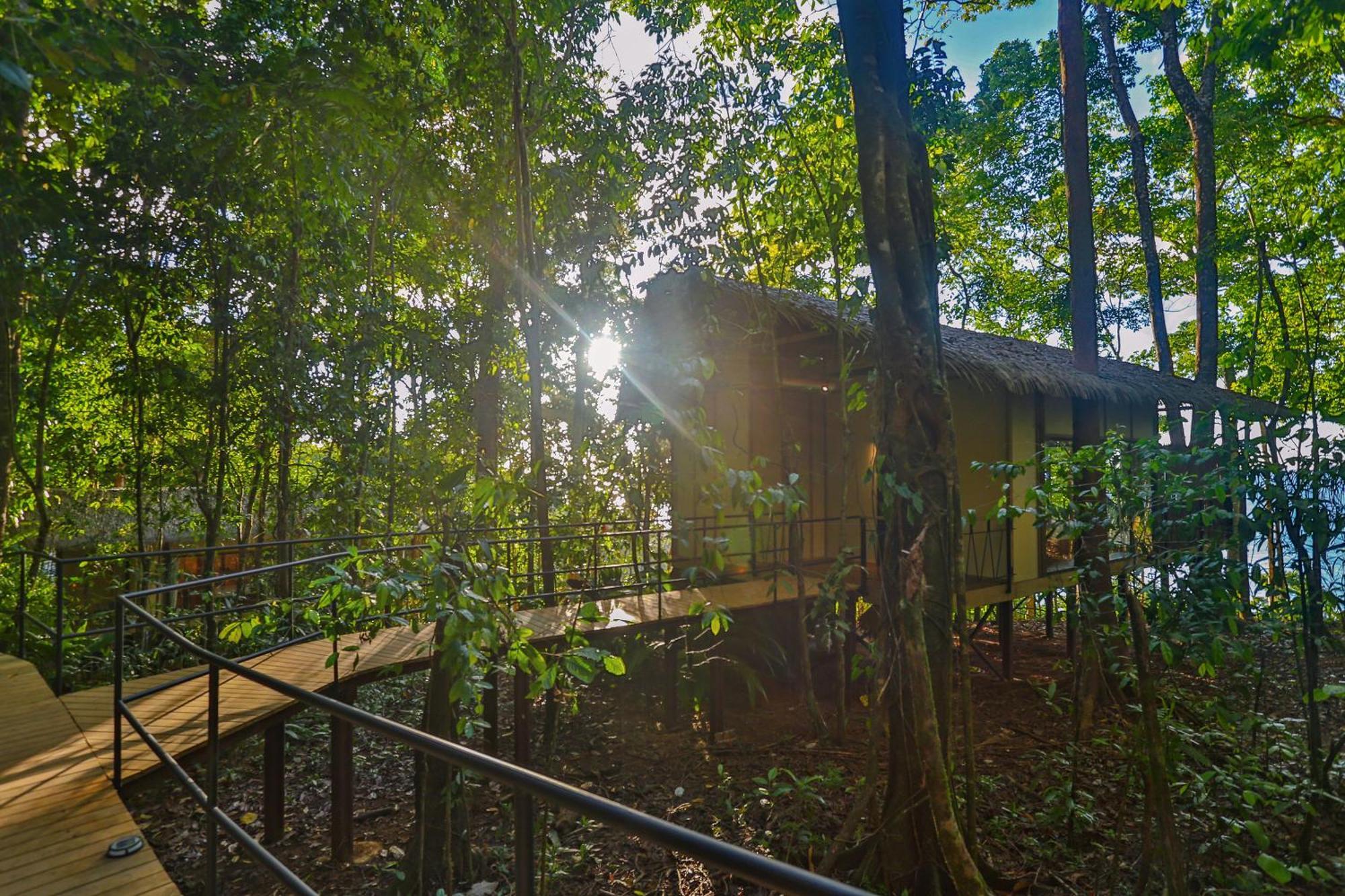 Corcovado Wilderness Lodge By Scp San Pedrillo Екстер'єр фото