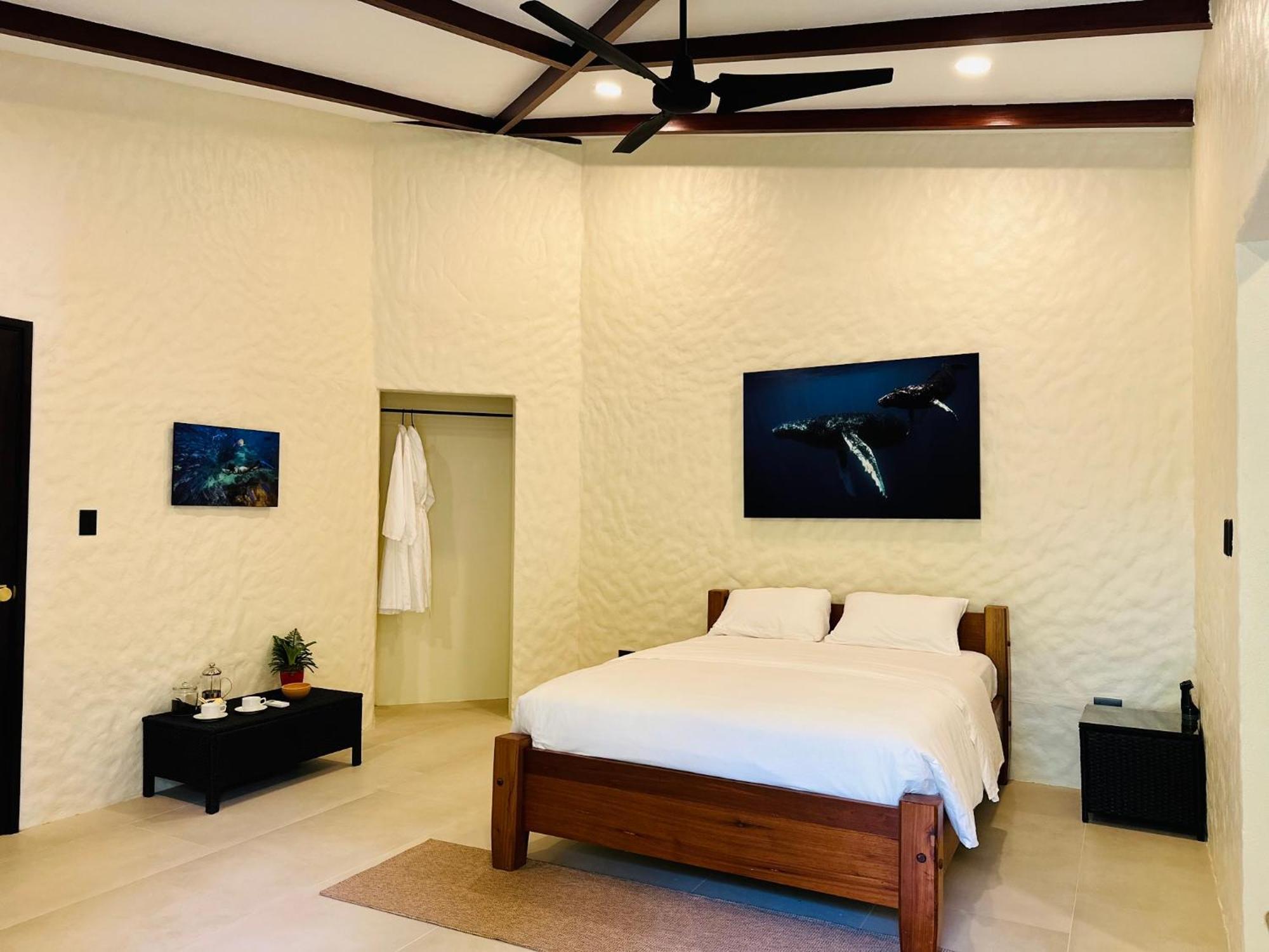 Corcovado Wilderness Lodge By Scp San Pedrillo Екстер'єр фото