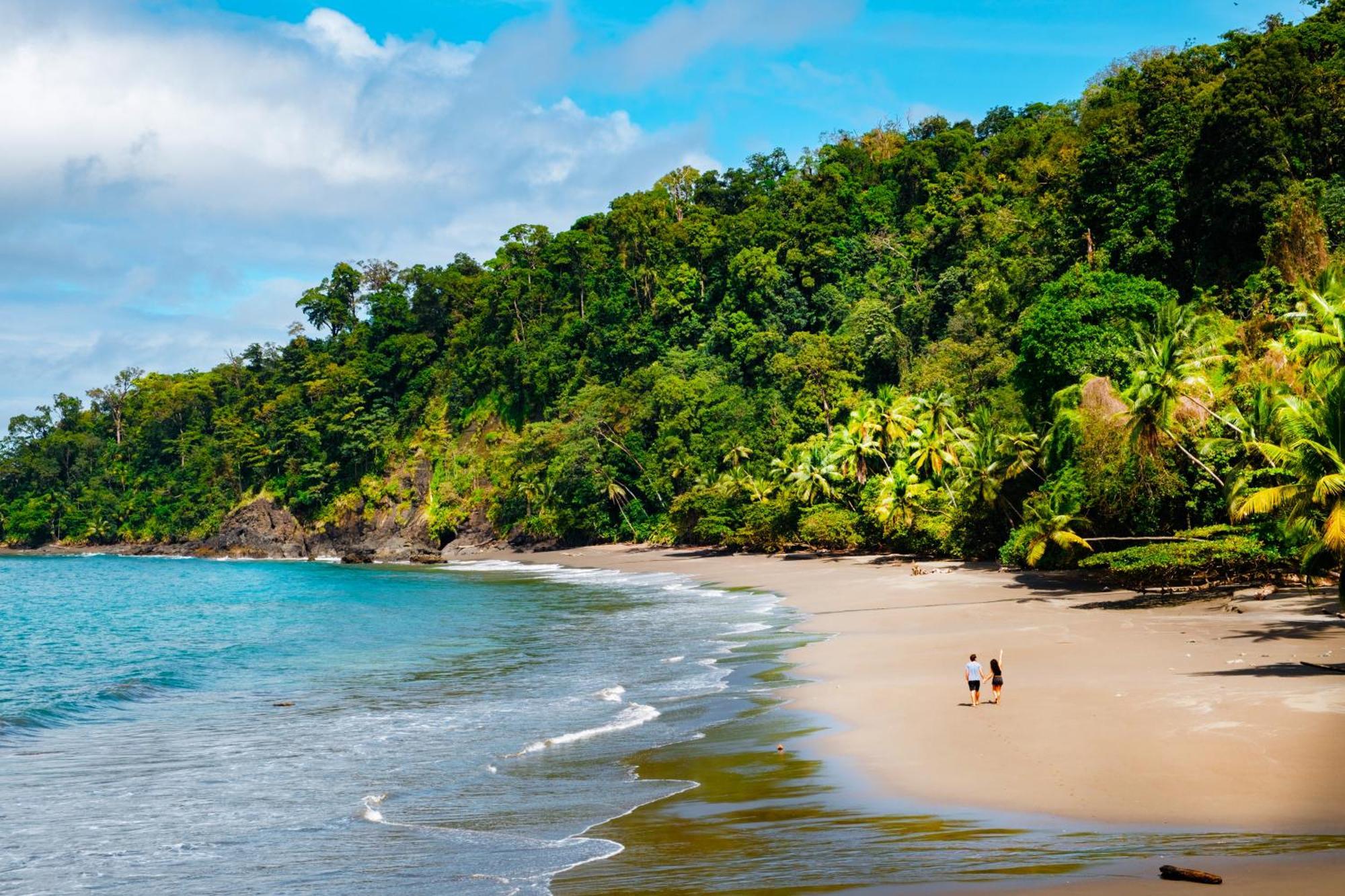 Corcovado Wilderness Lodge By Scp San Pedrillo Екстер'єр фото