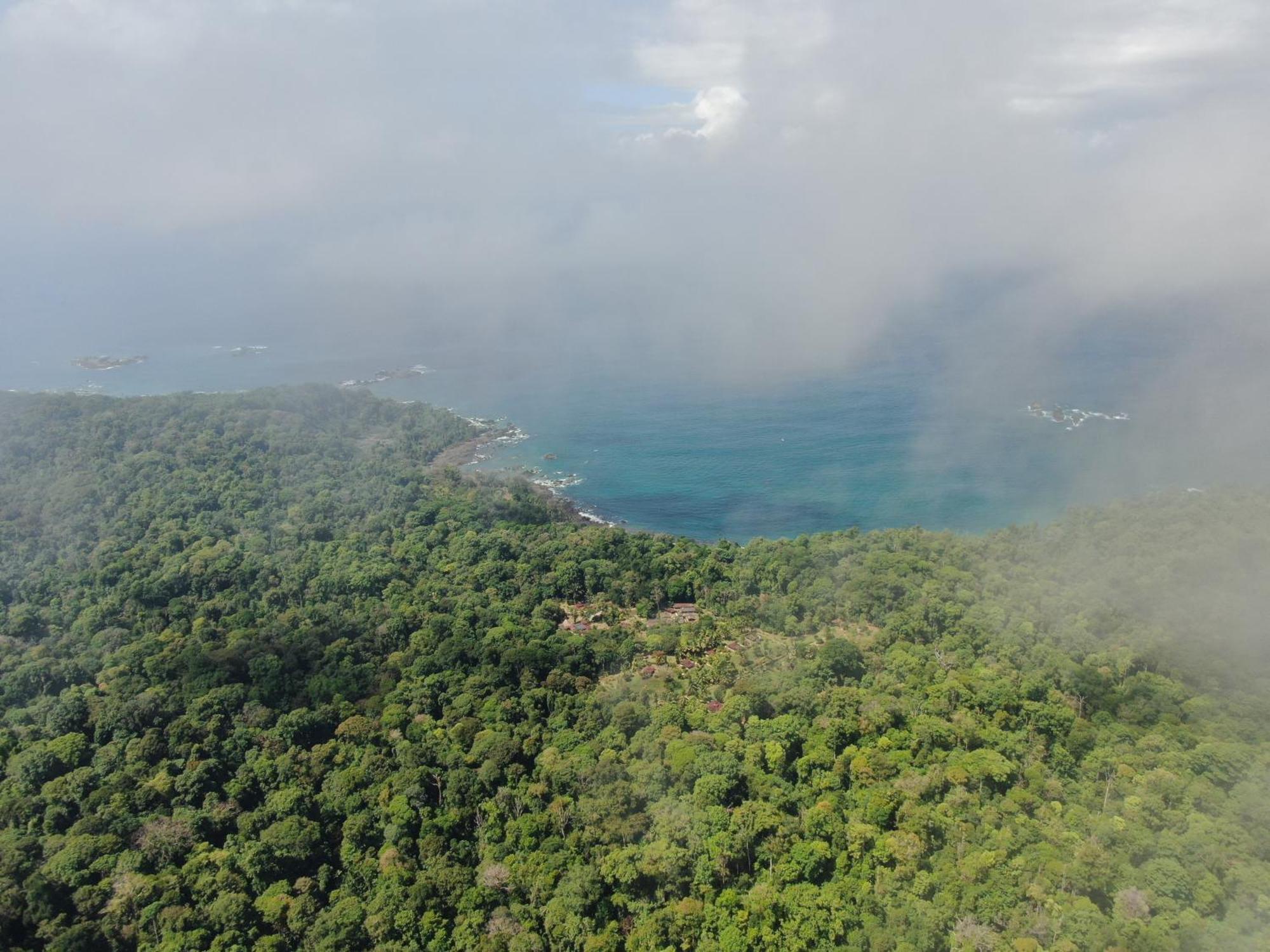 Corcovado Wilderness Lodge By Scp San Pedrillo Екстер'єр фото