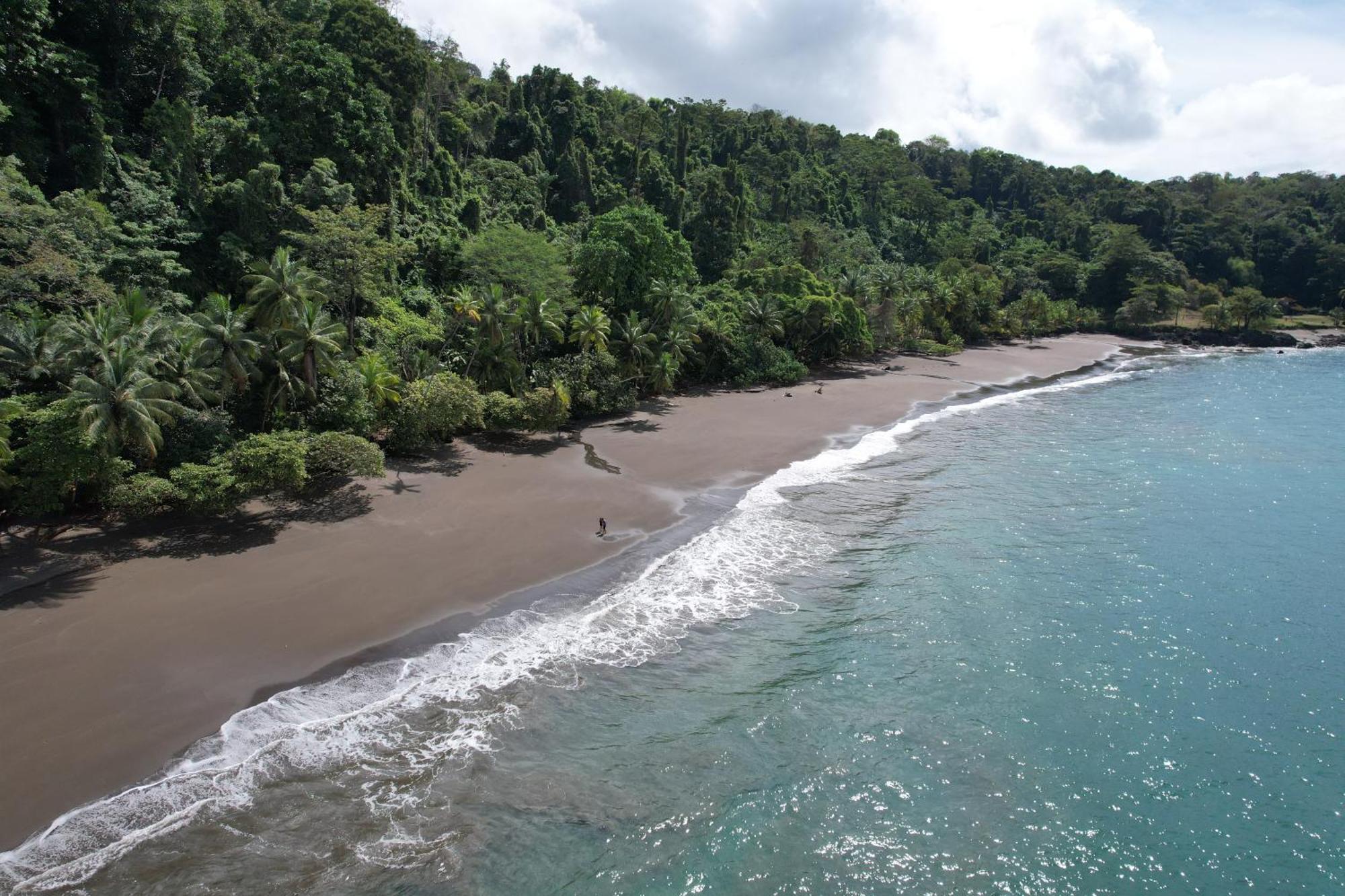 Corcovado Wilderness Lodge By Scp San Pedrillo Екстер'єр фото