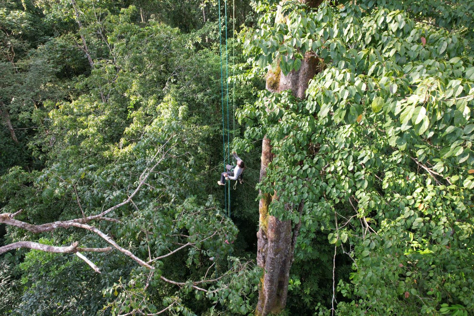Corcovado Wilderness Lodge By Scp San Pedrillo Екстер'єр фото