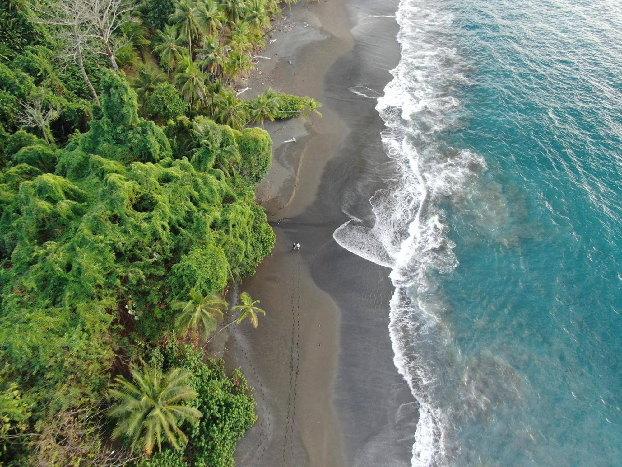 Corcovado Wilderness Lodge By Scp San Pedrillo Екстер'єр фото