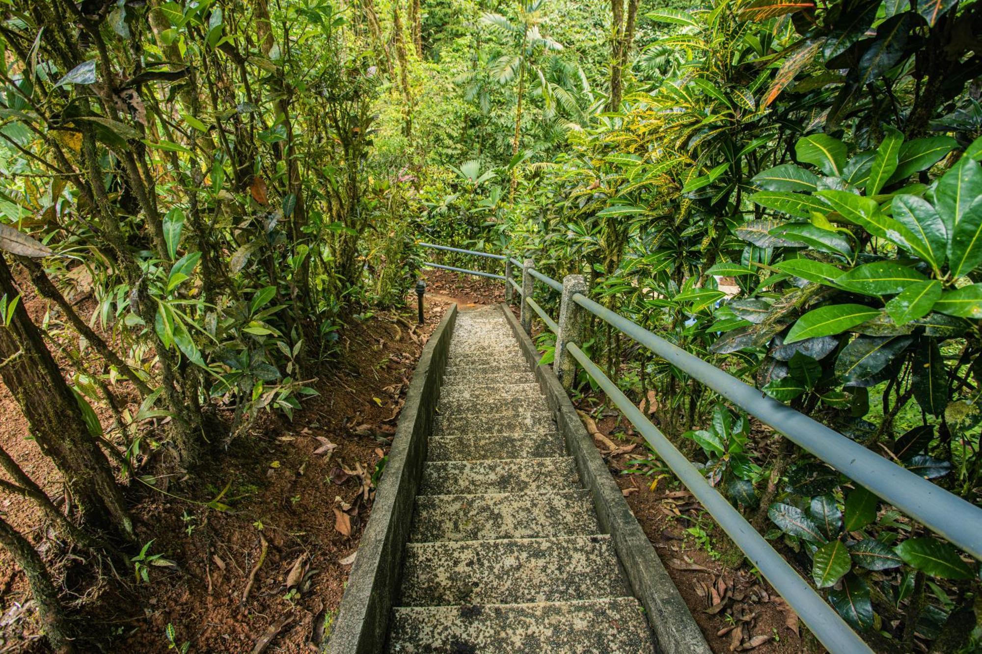 Corcovado Wilderness Lodge By Scp San Pedrillo Екстер'єр фото