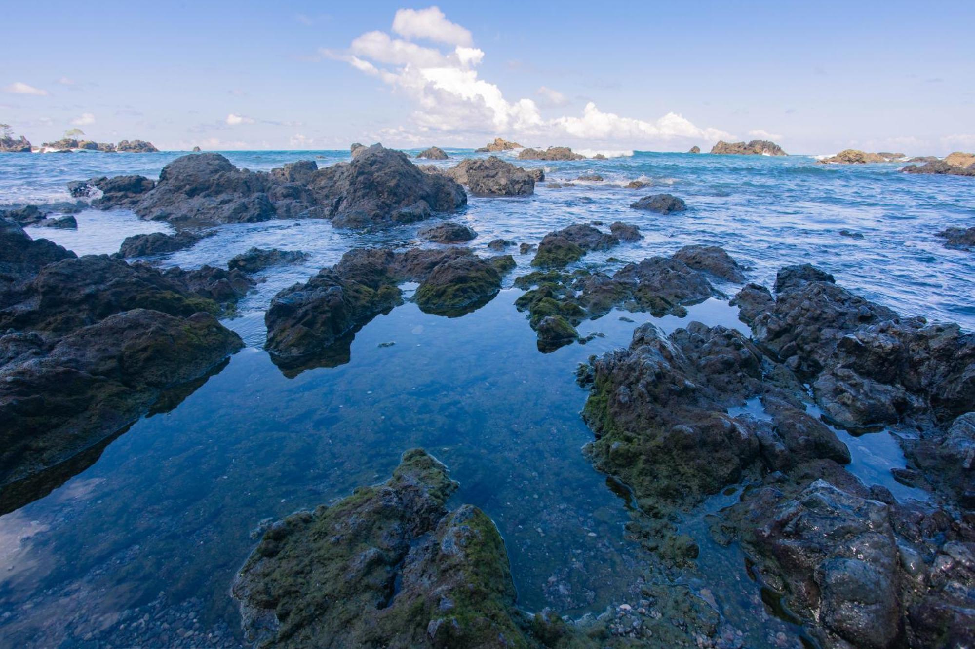 Corcovado Wilderness Lodge By Scp San Pedrillo Екстер'єр фото