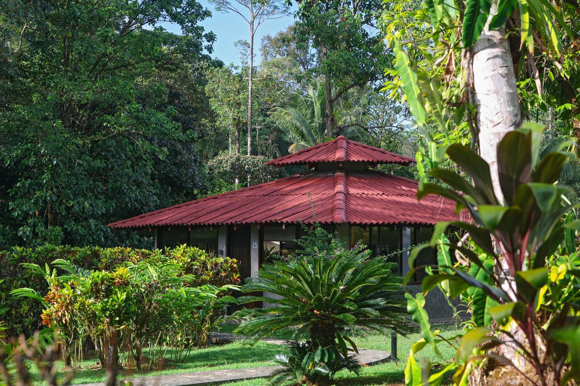 Corcovado Wilderness Lodge By Scp San Pedrillo Екстер'єр фото